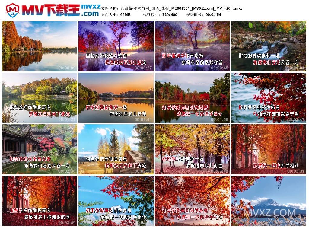 红蔷薇-难逃情网_国语_流行_ME901381